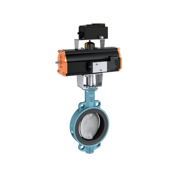 EBRO Z 611-C Butterfly Valve for Chemical Service